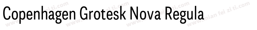 Copenhagen Grotesk Nova Regular字体转换